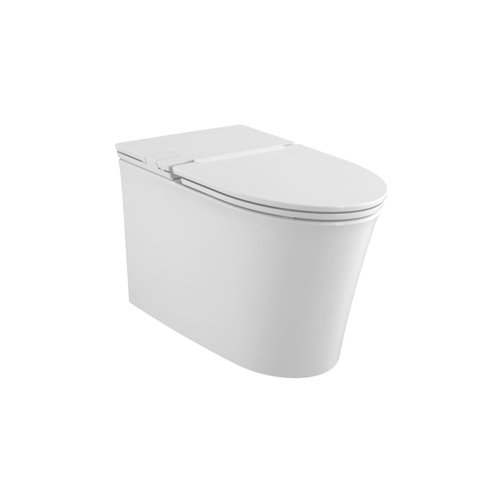 Bàn cầu treo tường WP-3232