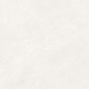 LC459038-02
