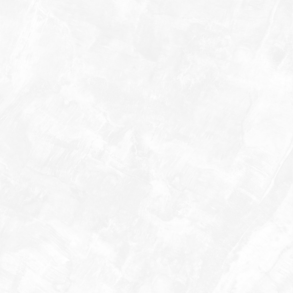 Gạch 120x120 DNI S01P