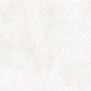 NHC-S04M-2